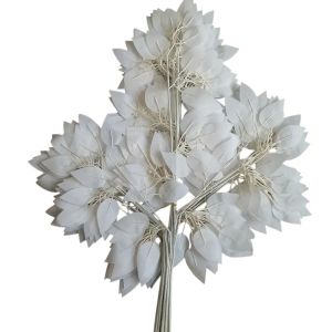 Фікус білий