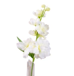 Дельфініум міні білий