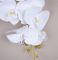 Орхідея латексна на 9 квіток "домініка" біла