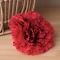 Голова гвоздики червона 9 см