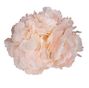 Голова гортензії "гігант" 22 см персикова