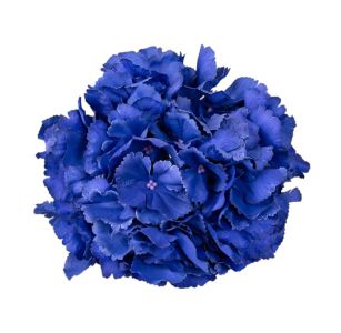 Голова гортензії  "гігант" 22 см синя
