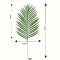 Пальмове листя декоративне