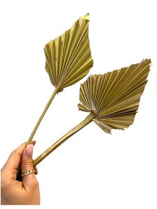 Пальмове листя 35 х 12 см