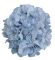 Голова гортензії  "гігант" 22 см блакитна