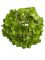 Голова гортензії зелена 22 см