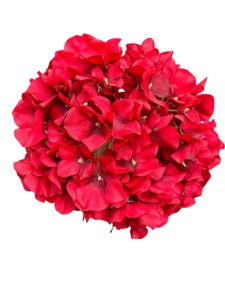 Голова гортензії червона 22 см