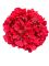 Голова гортензії червона 22 см