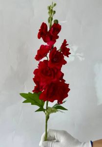 Дельфініум червоний