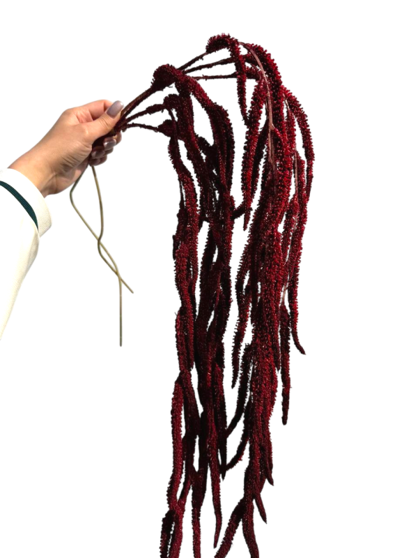 Амарант декоративний звисаючий (бордовий, 100 см)