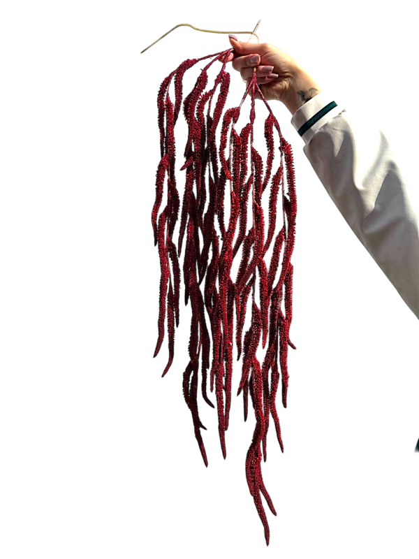 Амарант декоративний звисаючий (бордовий, 100 см)