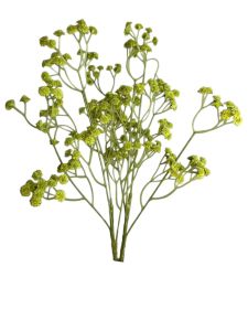 Гіпсофіла зелена гелева 42 см