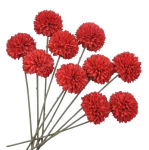 Жоржини Червоні