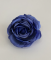 Троянда піоновидна синя 8 см