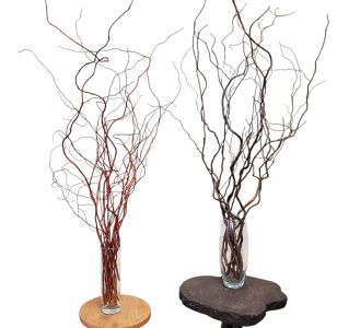 Гілки кучерявої верби для декору