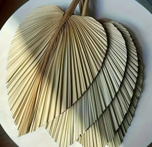 Пальмове листя 40 х 20 см