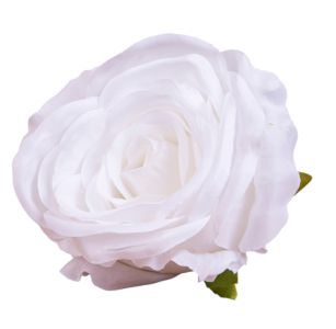 Троянда "Аваланш" біла 10 см