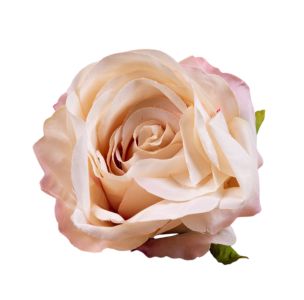 Троянда "Аваланш" пудрова 10 см