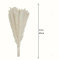 Штучні білі міні стебла Пампасної трави