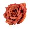Троянда "лейді" помаранчева 9 см